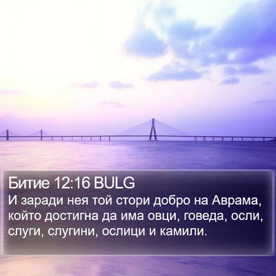 Битие 12:16 BULG Bible Verse Image