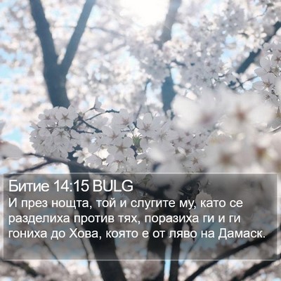 Битие 14:15 BULG Bible Verse Image
