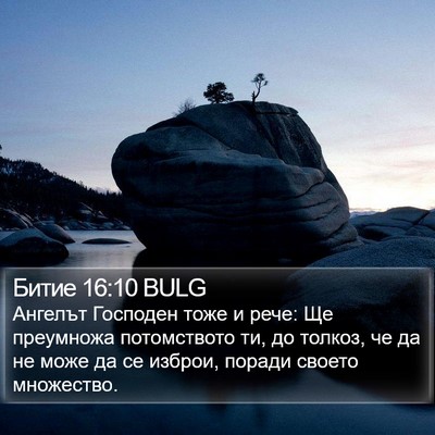 Битие 16:10 BULG Bible Verse Image