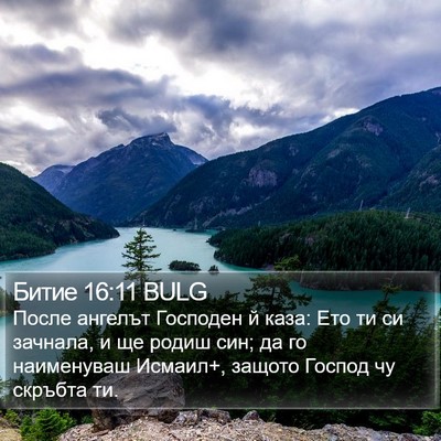 Битие 16:11 BULG Bible Verse Image