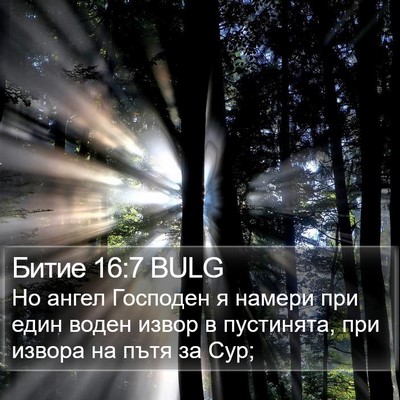 Битие 16:7 BULG Bible Verse Image
