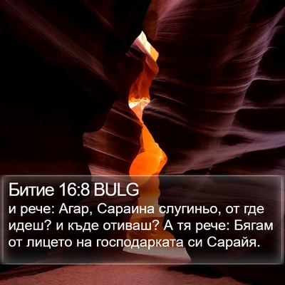 Битие 16:8 BULG Bible Verse Image