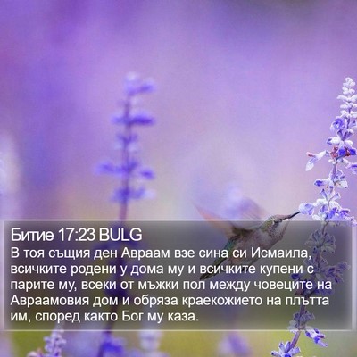 Битие 17:23 BULG Bible Verse Image