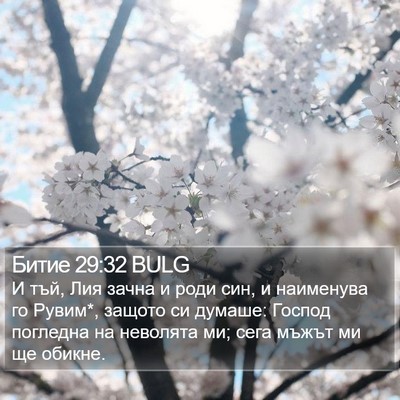 Битие 29:32 BULG Bible Verse Image