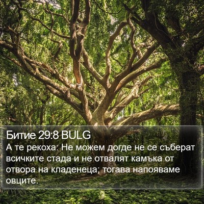 Битие 29:8 BULG Bible Verse Image