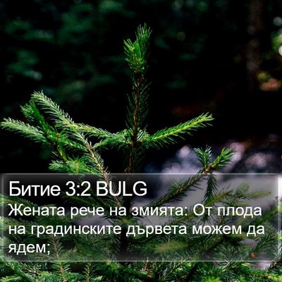 Битие 3:2 BULG Bible Verse Image