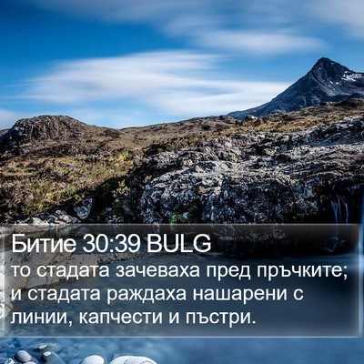 Битие 30:39 BULG Bible Verse Image