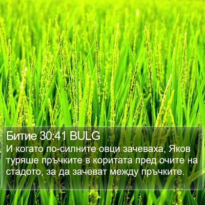 Битие 30:41 BULG Bible Verse Image