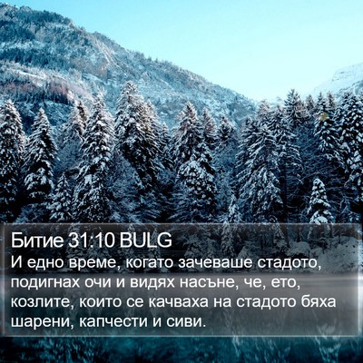 Битие 31:10 BULG Bible Verse Image