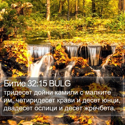 Битие 32:15 BULG Bible Verse Image