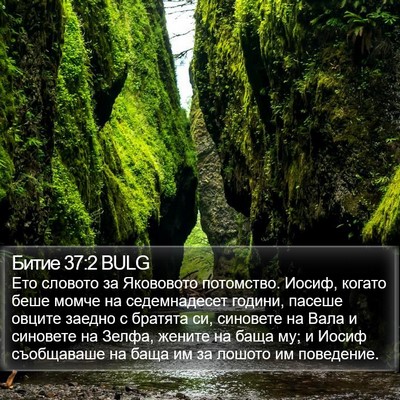 Битие 37:2 BULG Bible Verse Image