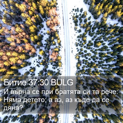 Битие 37:30 BULG Bible Verse Image