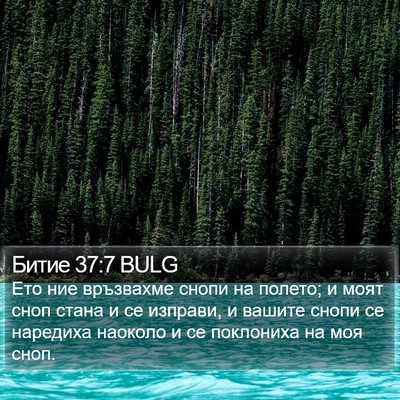 Битие 37:7 BULG Bible Verse Image