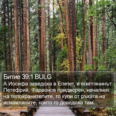 Битие 39:1 BULG Bible Verse Image