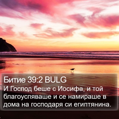 Битие 39:2 BULG Bible Verse Image