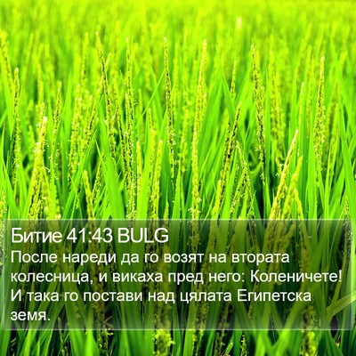 Битие 41:43 BULG Bible Verse Image