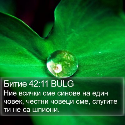 Битие 42:11 BULG Bible Verse Image