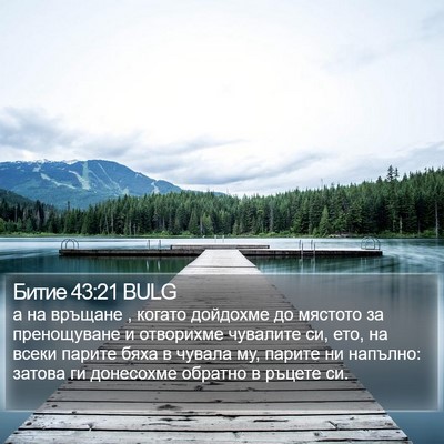 Битие 43:21 BULG Bible Verse Image