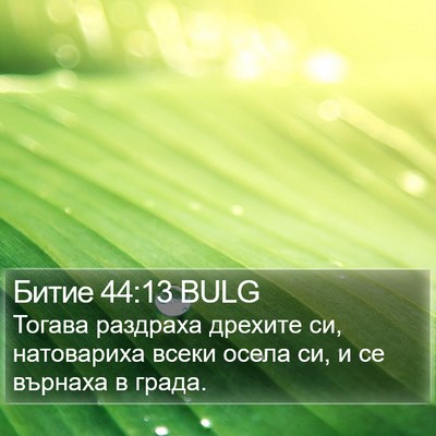 Битие 44:13 BULG Bible Verse Image