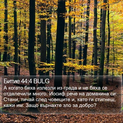 Битие 44:4 BULG Bible Verse Image