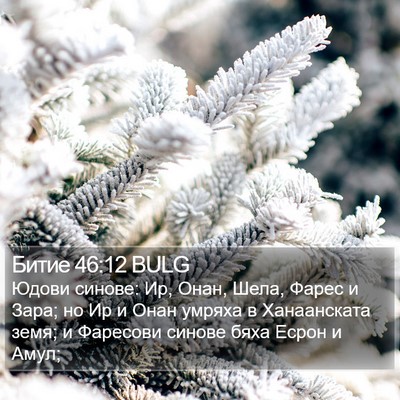 Битие 46:12 BULG Bible Verse Image
