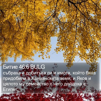 Битие 46:6 BULG Bible Verse Image