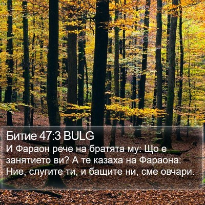 Битие 47:3 BULG Bible Verse Image