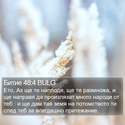 Битие 48:4 BULG Bible Verse Image