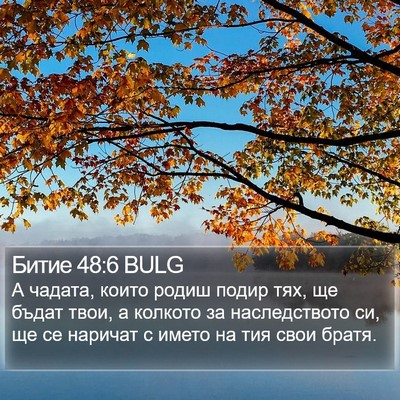 Битие 48:6 BULG Bible Verse Image
