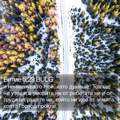 Битие 5:29 BULG Bible Verse Image