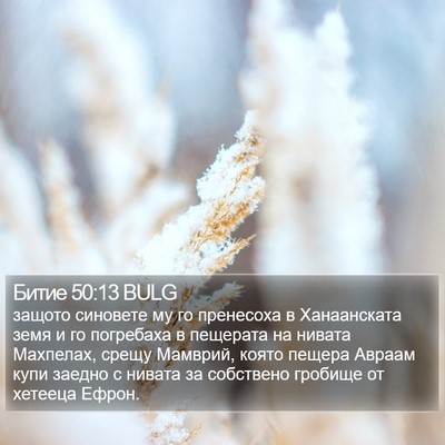 Битие 50:13 BULG Bible Verse Image