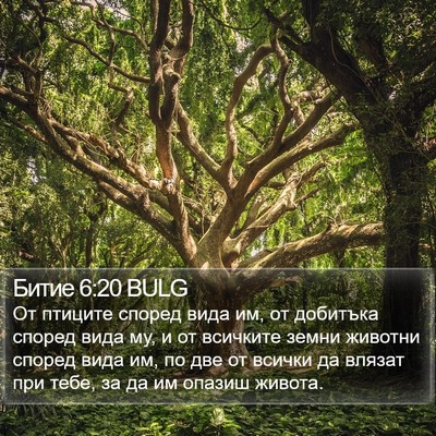 Битие 6:20 BULG Bible Verse Image