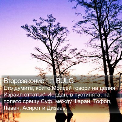 Второзаконие 1:1 BULG Bible Verse Image