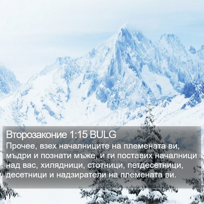Второзаконие 1:15 BULG Bible Verse Image