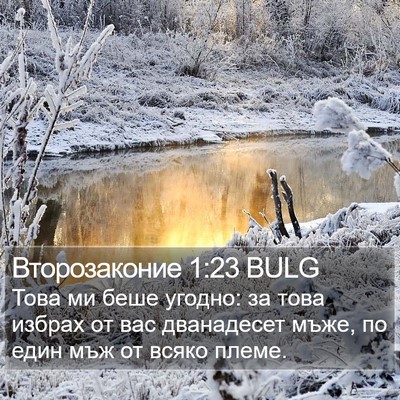 Второзаконие 1:23 BULG Bible Verse Image