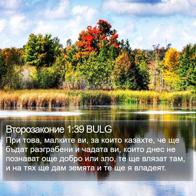 Второзаконие 1:39 BULG Bible Verse Image