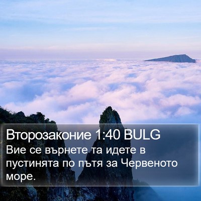 Второзаконие 1:40 BULG Bible Verse Image
