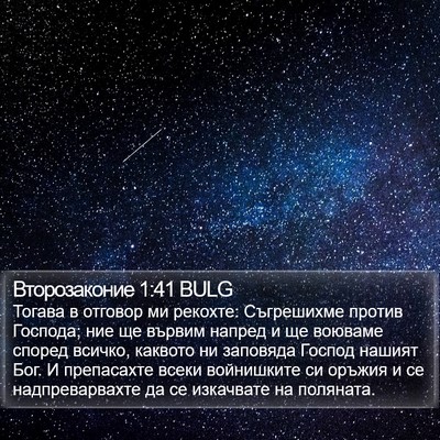 Второзаконие 1:41 BULG Bible Verse Image