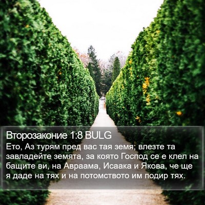 Второзаконие 1:8 BULG Bible Verse Image