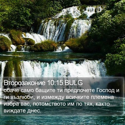 Второзаконие 10:15 BULG Bible Verse Image