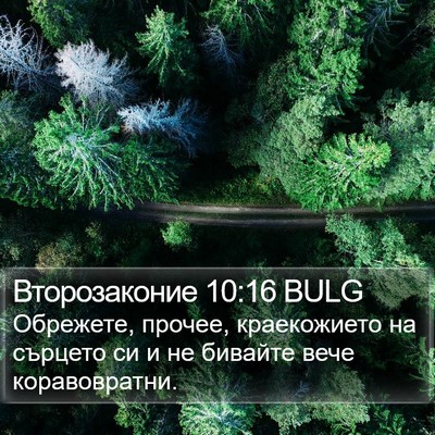 Второзаконие 10:16 BULG Bible Verse Image