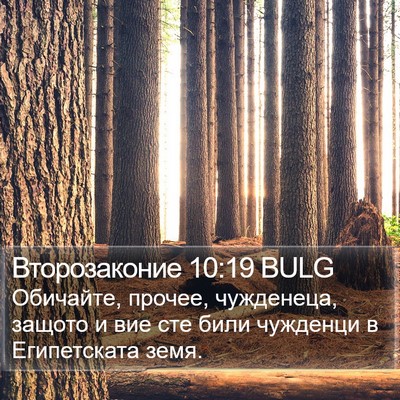 Второзаконие 10:19 BULG Bible Verse Image