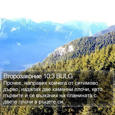 Второзаконие 10:3 BULG Bible Verse Image