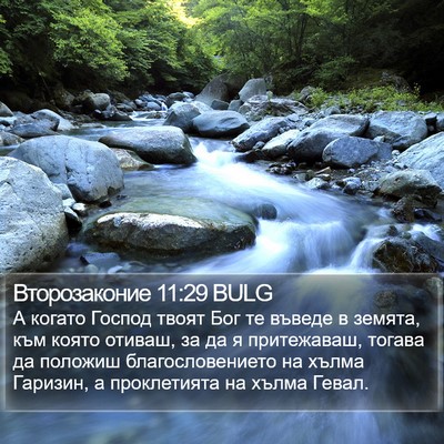 Второзаконие 11:29 BULG Bible Verse Image