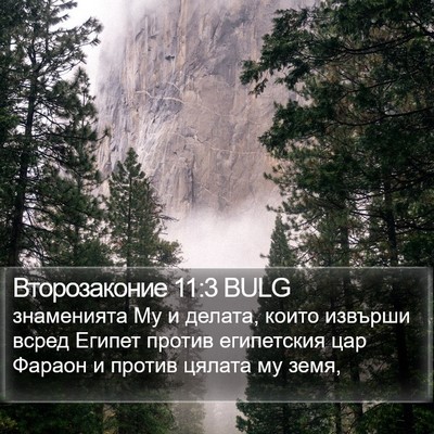 Второзаконие 11:3 BULG Bible Verse Image