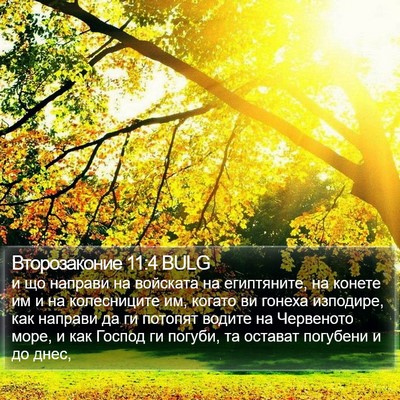 Второзаконие 11:4 BULG Bible Verse Image