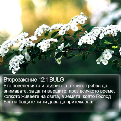 Второзаконие 12:1 BULG Bible Verse Image
