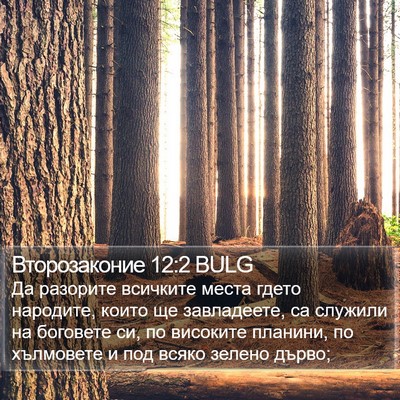 Второзаконие 12:2 BULG Bible Verse Image