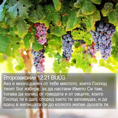 Второзаконие 12:21 BULG Bible Verse Image