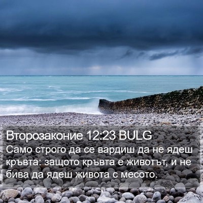 Второзаконие 12:23 BULG Bible Verse Image